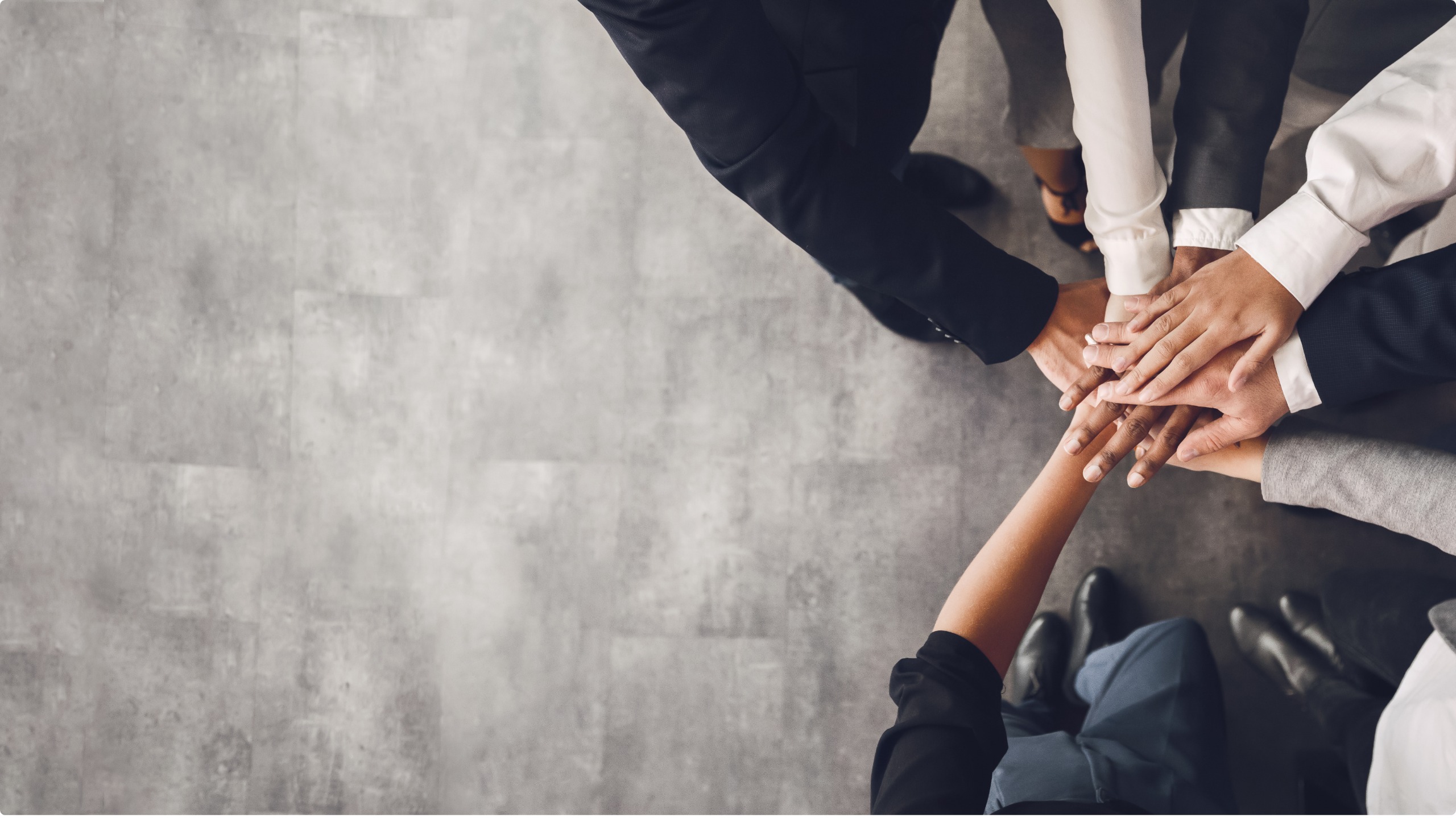 clienti assistiti dal nostro Team